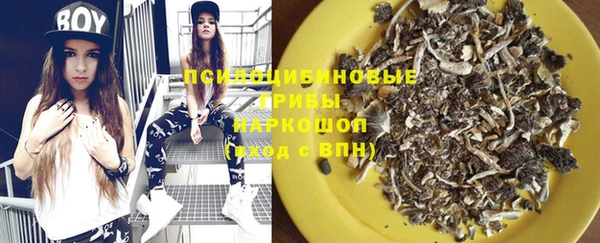 крисы Рославль