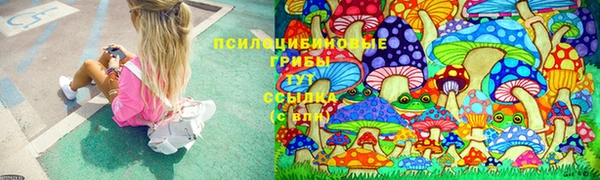 крисы Рославль