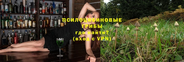 крисы Рославль