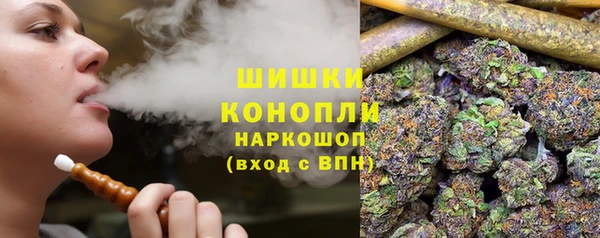 гидра Протвино
