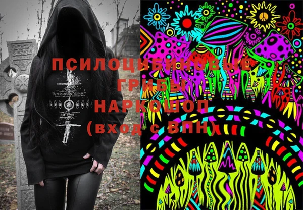 крисы Рославль