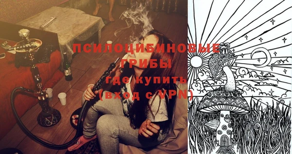 крисы Рославль